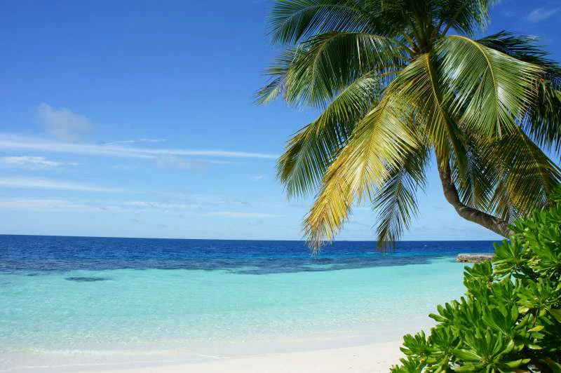 The 7 Best Beaches in Barbados
